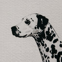 A Special Arrangement Wall Art — Black & White