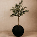 Addo Planter