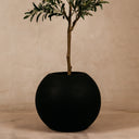 Addo Planter