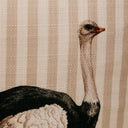 Fine Feathered Friend Scatter