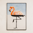 Flamingo Fun Wall Art