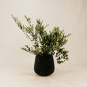 Kifuu Planter – Black