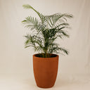 Udonga Planter – Terracotta