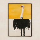 Ostrich Odyssey Wall Art