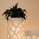 Marra Large Illuminated Planter – White