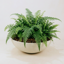 Kopo Planter Large- Cream