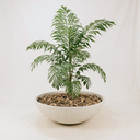 Kopo Planter XL- Cream